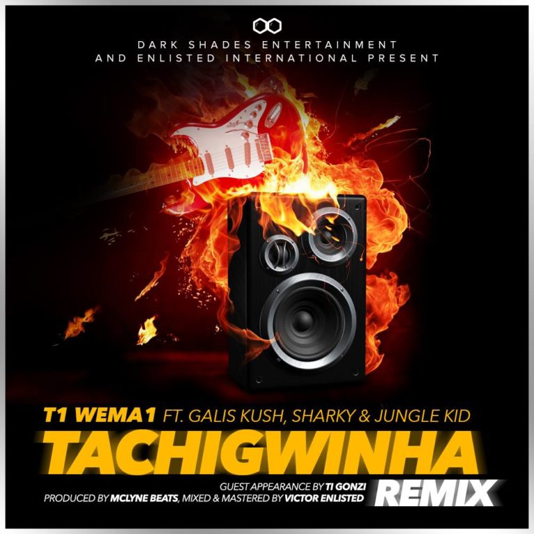 T-One drops Tachigwinha Remix