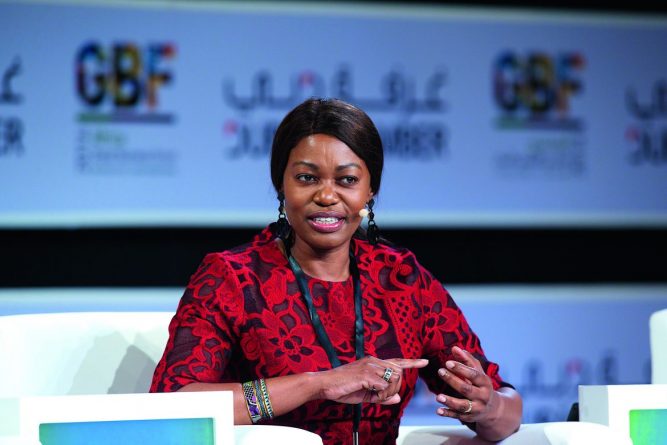 Tsitsi Masiyiwa announced as Keynote Speaker at Zim Achievers UK in May