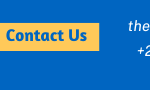 +263772624431