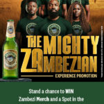 ZE_WEB_BANNER_(300×600)_001