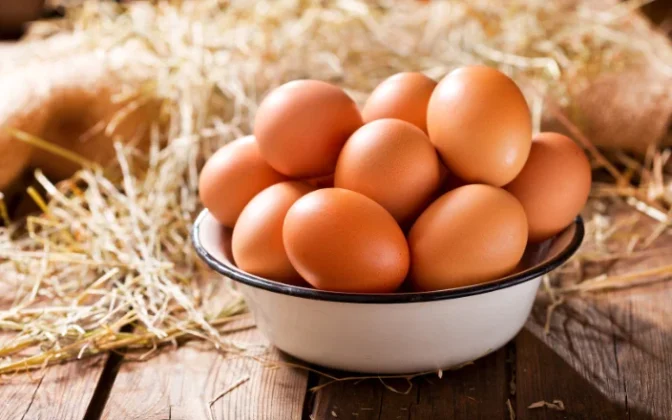 Irvine’s Powers Up Ardno Primary School on World Egg Day